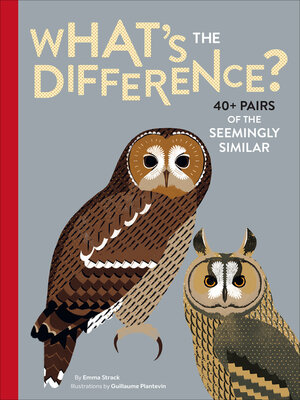 cover image of What's the Difference?
